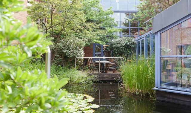 Gartenanlage mit Teich