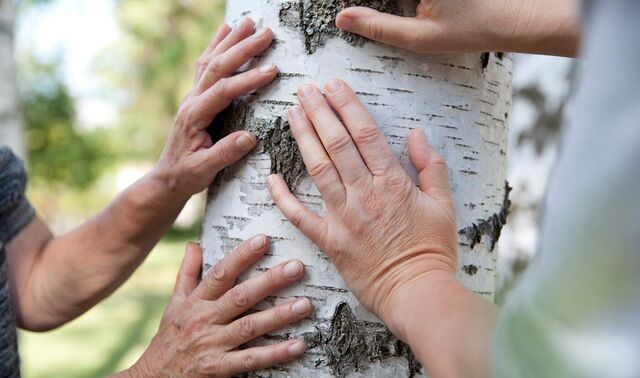 Gemeinschaft erleben