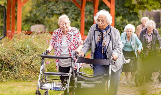 Gemeinsamer Spaziergang